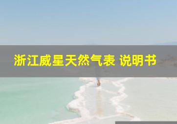 浙江威星天然气表 说明书